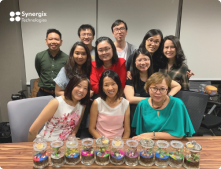 synergix people 2